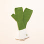 Verde & Crudo
